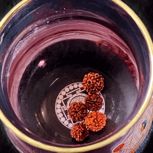 Rudraksha